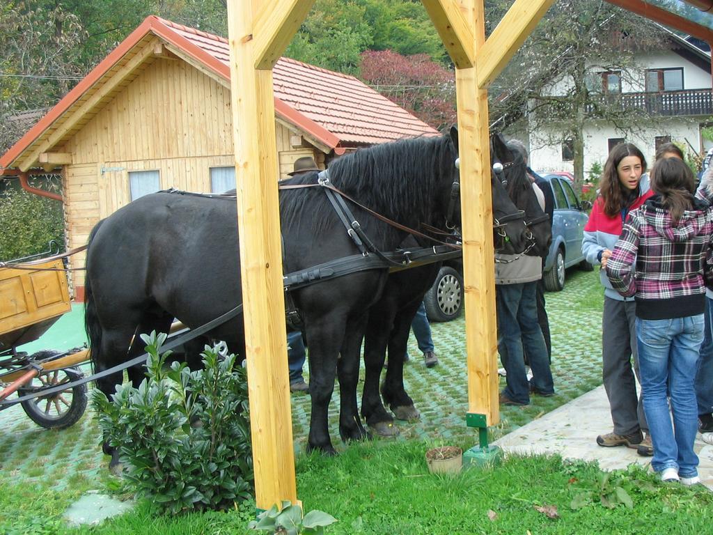 Sunny Holiday House B&B Ljubno Екстер'єр фото