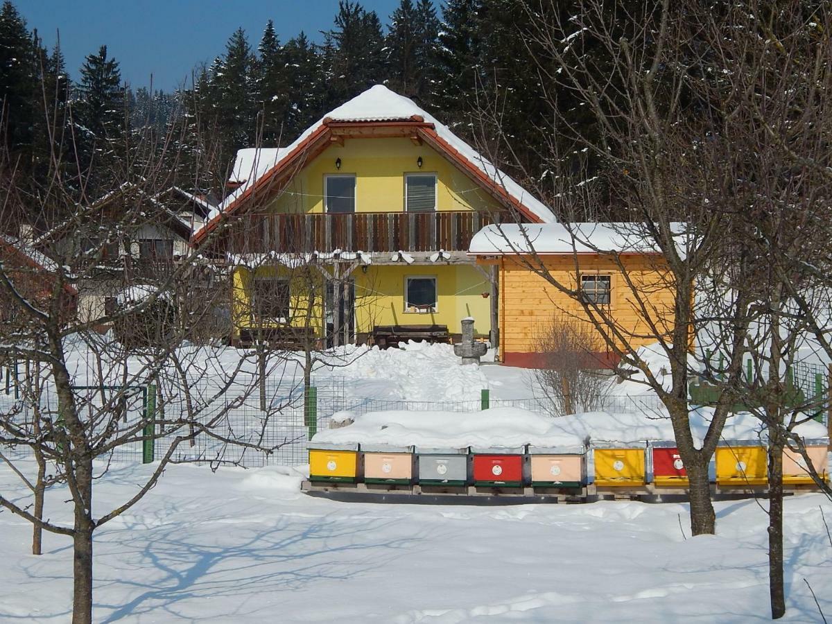 Sunny Holiday House B&B Ljubno Екстер'єр фото